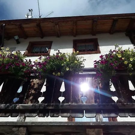 Francisi *